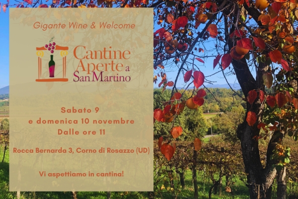 CANTINE APERTE SAN MARTINO 9-10 NOVEMBRE 2024