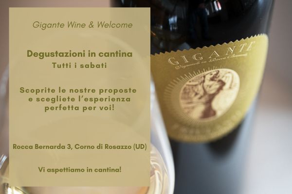 Vi aspettiamo in cantina tutti i sabati