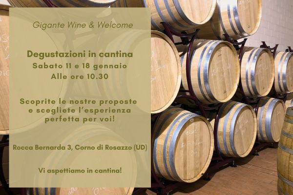 Tornano le visite guidate e le degustazioni dei nostri vini su prenotazione!