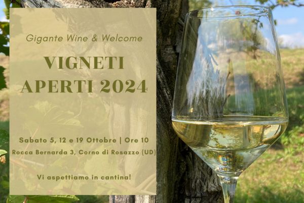 VIGNETI APERTI OTTOBRE 2024